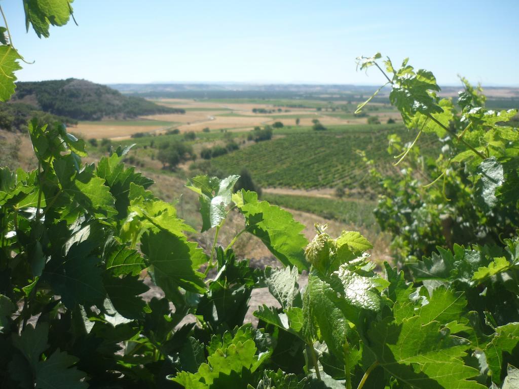 La Cantamora Hotel Rural Pesquera De Duero Eksteriør bilde